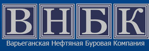 logo company vnbk